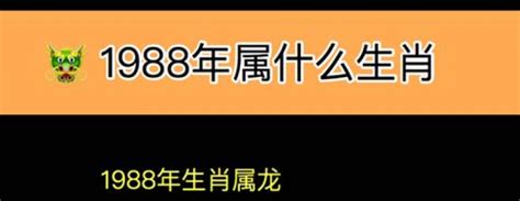 1988年辰年|1988年属什么生肖的 1988年属什么今年多大